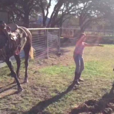 Børnene danser på græsset i hestefolden - så nu hestens utrolige reaktion