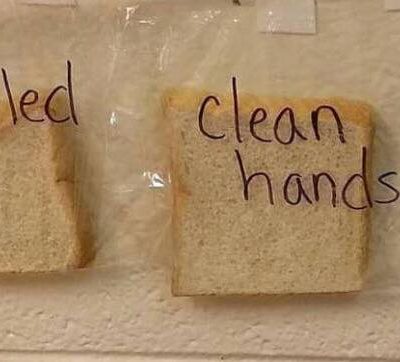 Læreren viser børnene bakteriefyldt eksperiment - derfor er det så vigtigt at vaske hænder!