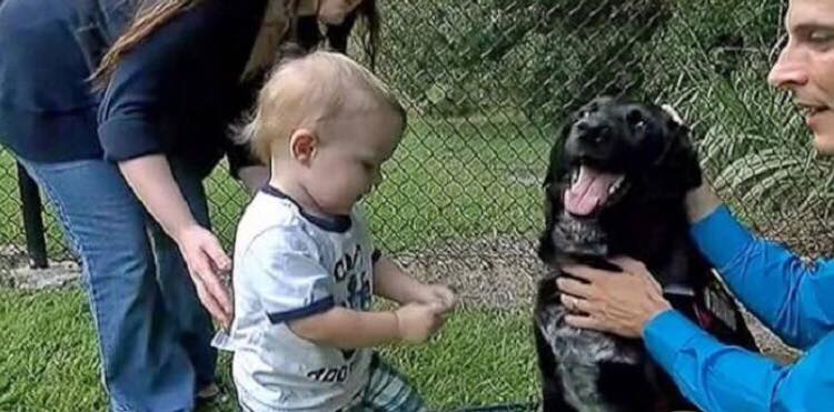 Hunden knurrer af barnepigen - så opdager forældrene hendes sande ansigt