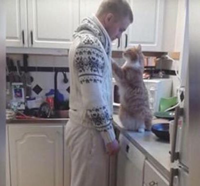 Har Fredrik måske den mest kærlige kat? Vurder selv i videoen, som er set af 3 millioner på Youtube