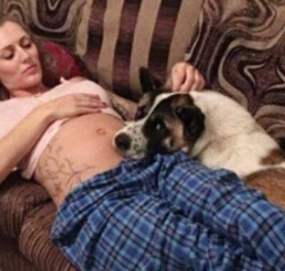 Hund gør af gravid ejer - her opdager hun hurtigt at noget er helt galt