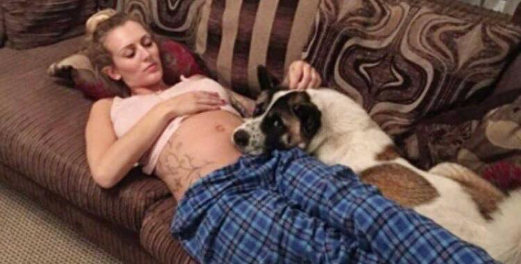 Hund gør af gravid ejer - her opdager hun hurtigt at noget er helt galt