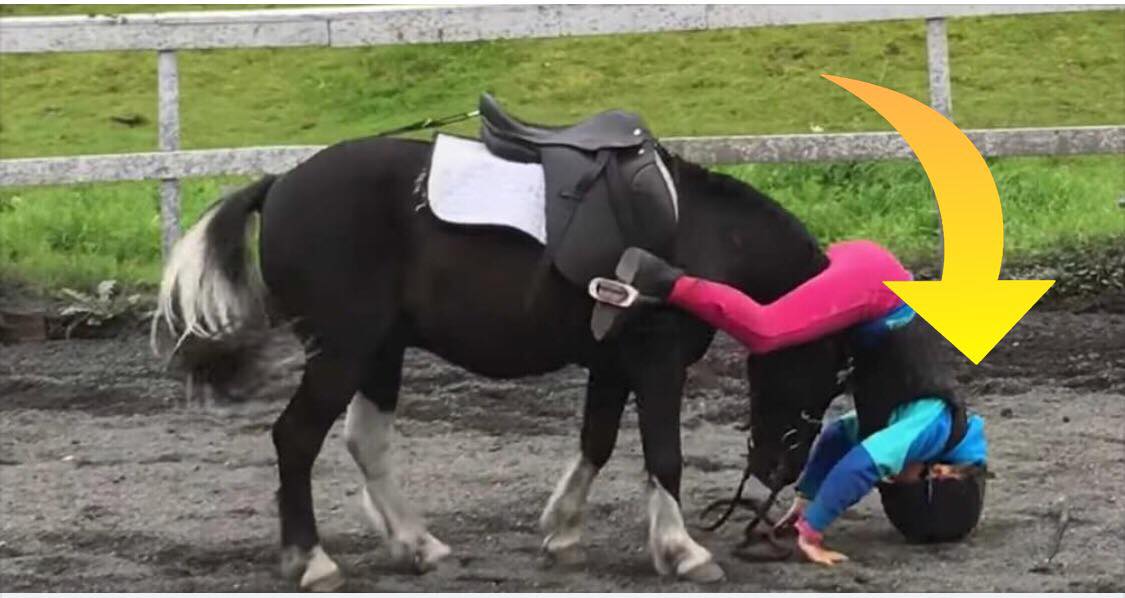Lille pige falder af sin Pony - se nu dyrets skønne reaktion