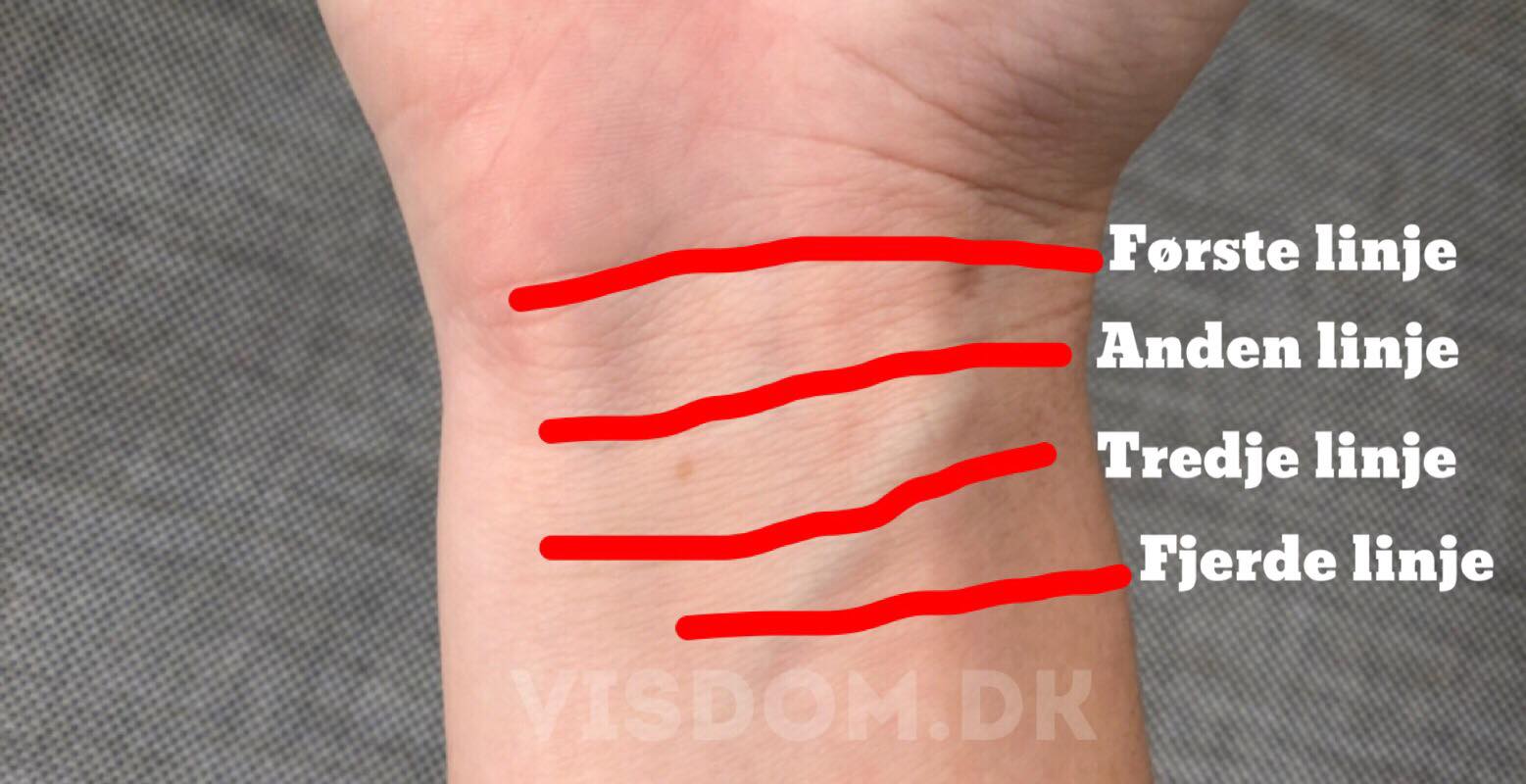 Håndlæsning: har du tre eller fire linjer på dit håndled? - dette fortæller det om dig