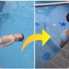 1-årig lille pige der svømmer går nu viralt på nettet: ”Det er det sødeste vi længe har set”