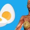 9 ting der sker i din krop hvis du begynder at spise 2 æg om dagen