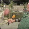 Journalist interviewer landmand – indser at han lyder som en høne og kan ikke stoppe med at grine