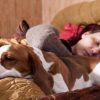 Hund i sengen: 7 ting som sker når du deler soveplads med din hund