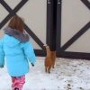 Lille pige følger efter katten ind i laden – bag den store port venter hendes livs største overraskelse